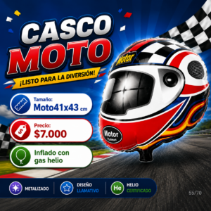 Casco Moto 41x43cm